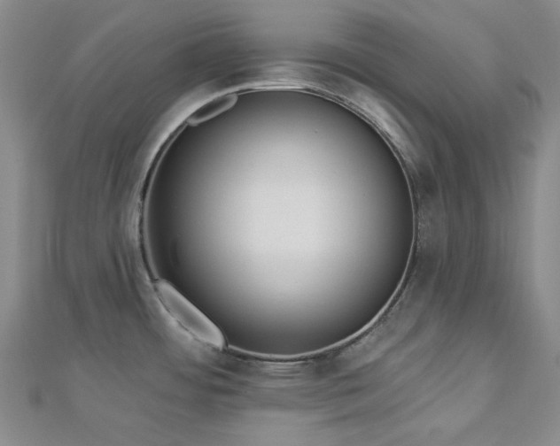 X0000113021484200908271423