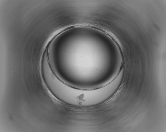 X0000113021485200908271423