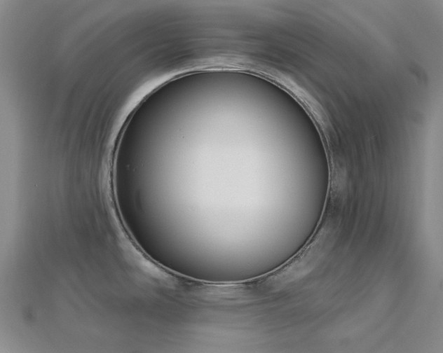 X0000113021486200908271423