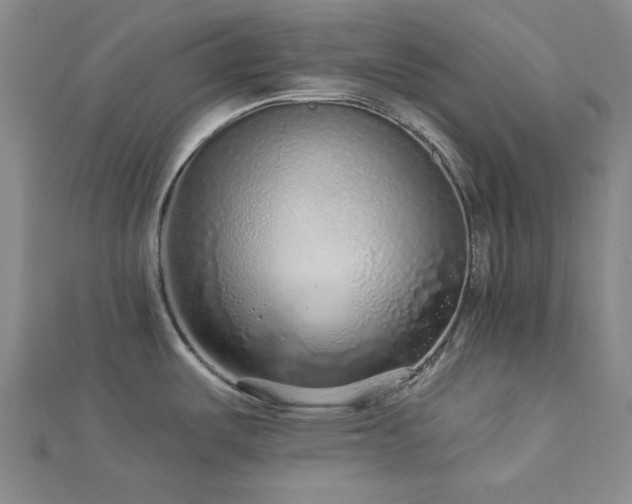 X0000113021487200908271423