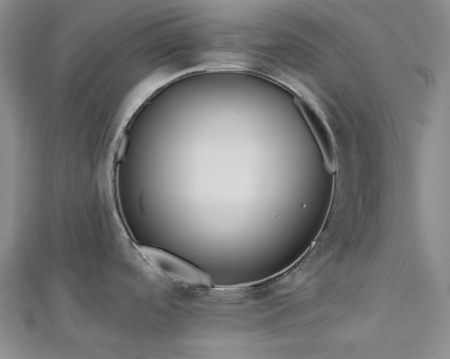 X0000113021488200908271423