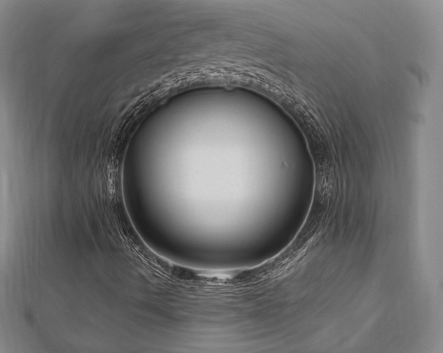 X0000113021490200908271422