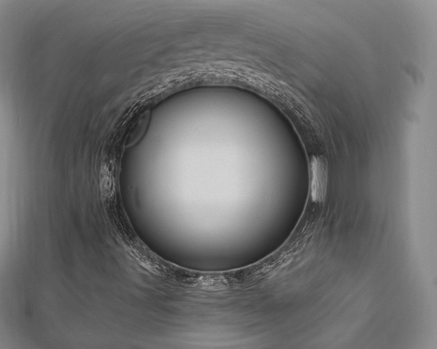 X0000113021491200908271422