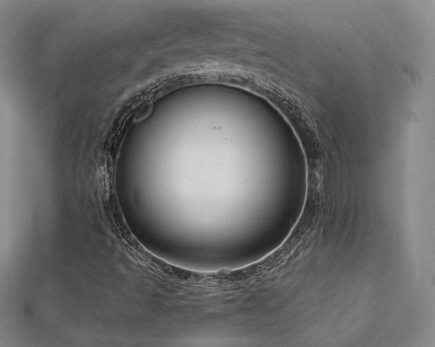 X0000113021493200908271422
