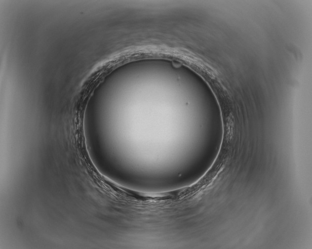 X0000113021494200908271422