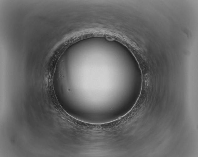 X0000113021495200908271422