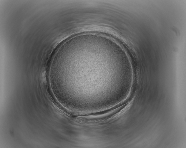 X0000113021497200908271422