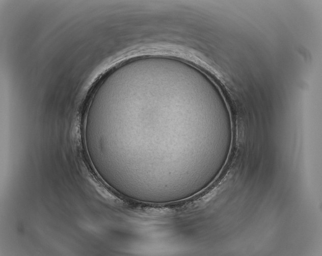 X0000113021498200908271422