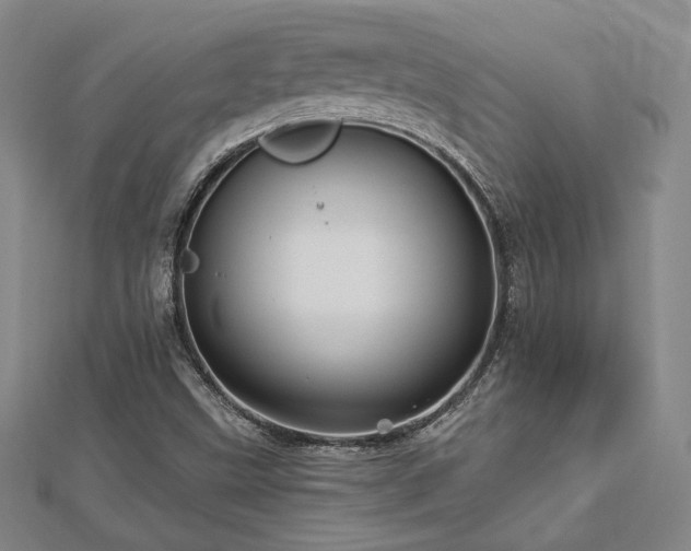 X0000113021499200908271422