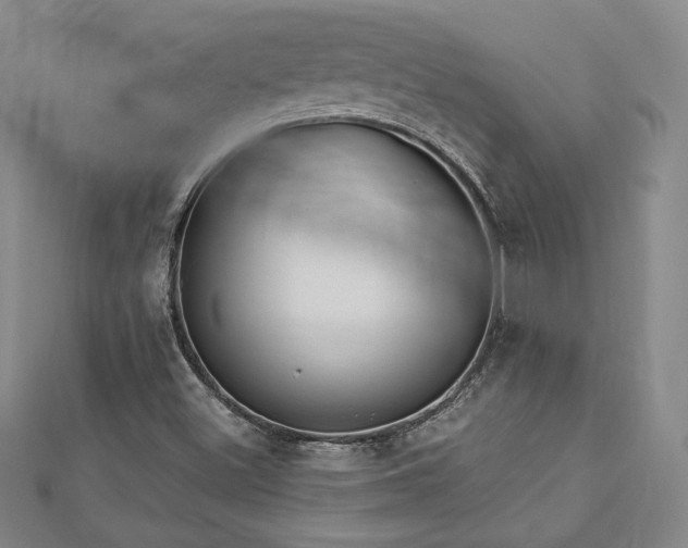 X0000113021500200908271422