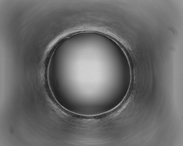 X0000113021502200908271423