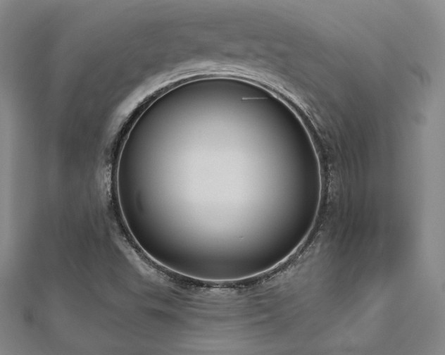 X0000113021503200908271423