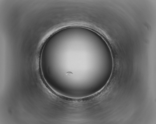 X0000113021504200908271423