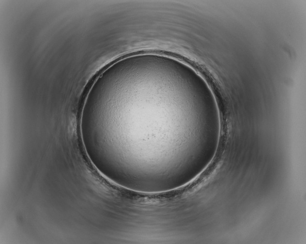 X0000113021505200908271423