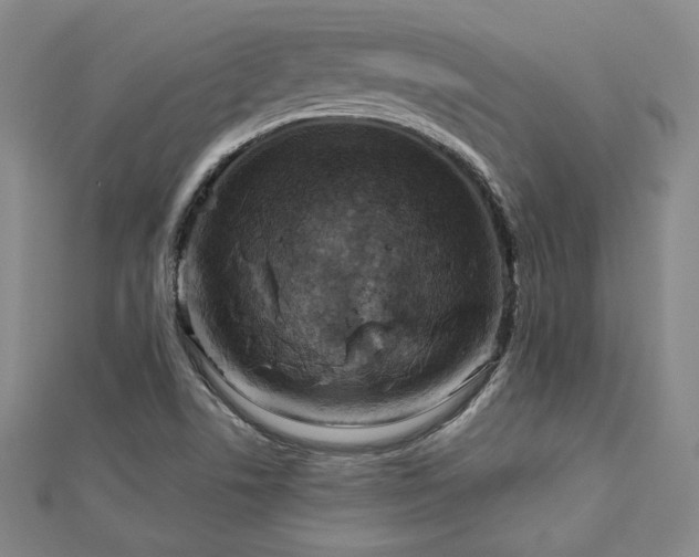 X0000113021506200908271423