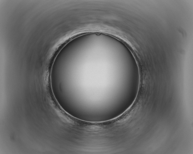X0000113021507200908271423