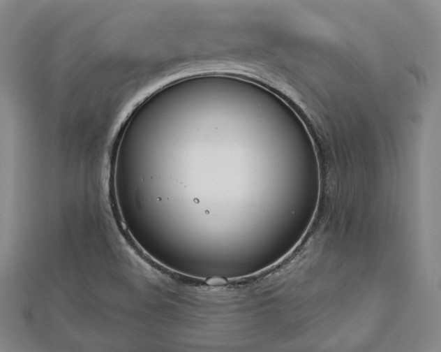 X0000113021508200908271423
