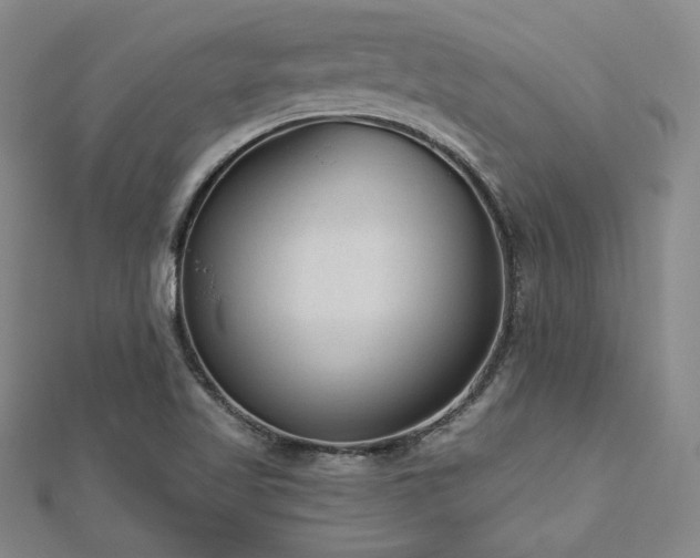 X0000113021509200908271423