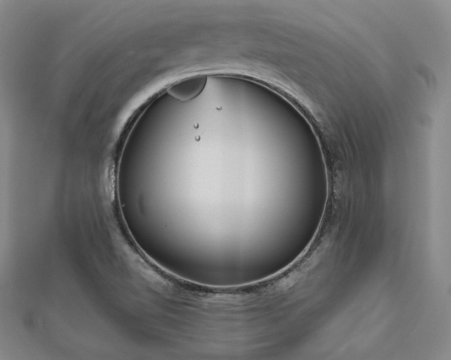 X0000113021510200908271423