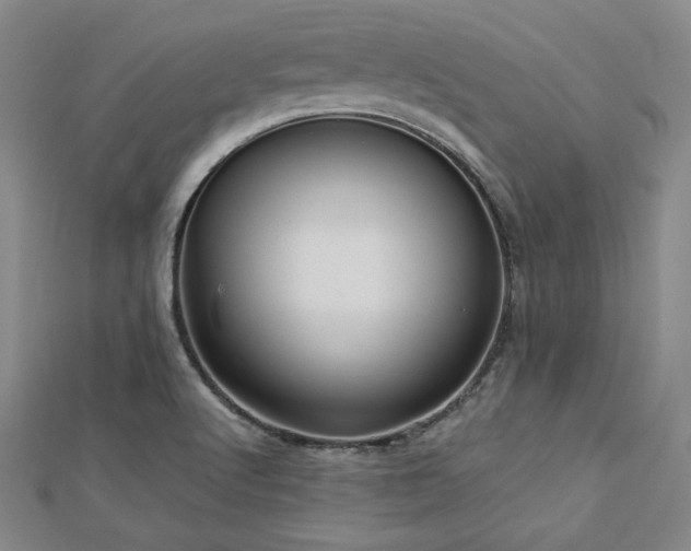 X0000113021512200908271423