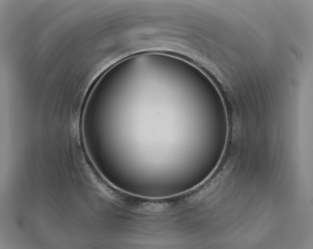 X0000113021513200908271423