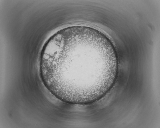 X0000113021514200908271423