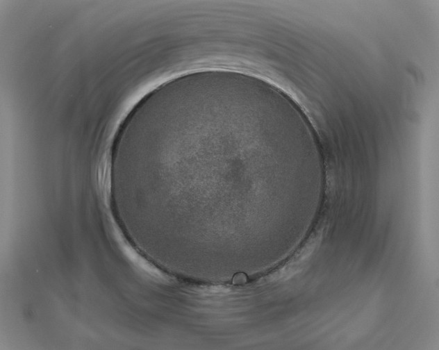 X0000113021515200908271423