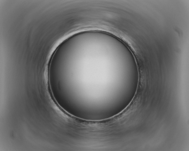X0000113021516200908271423