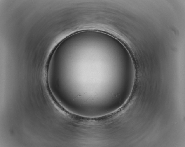 X0000113021517200908271423
