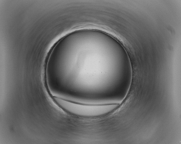 X0000113021518200908271423