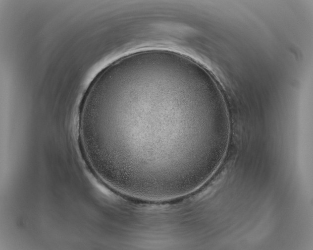 X0000113021519200908271423