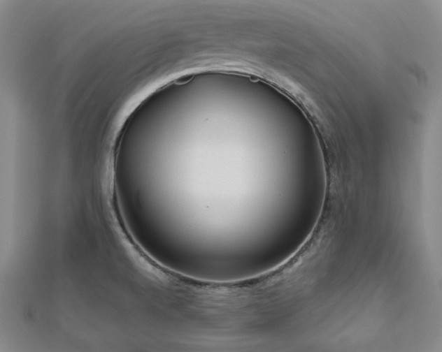 X0000113021520200908271423