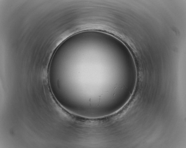 X0000113021521200908271423