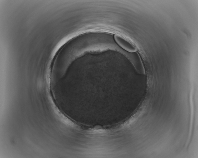 X0000113021522200908271423
