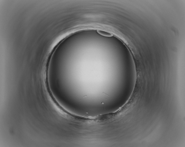 X0000113021523200908271423