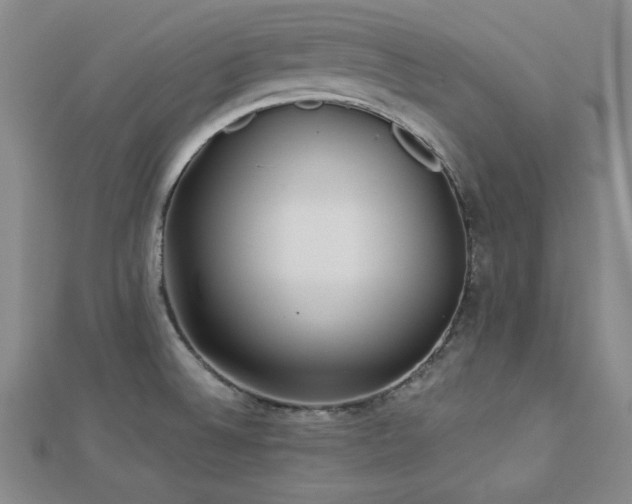 X0000113021524200908271423