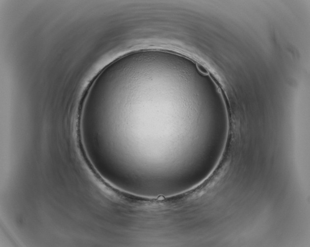 X0000113021525200908271423