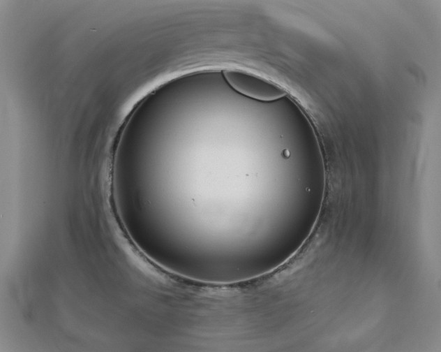X0000113021526200908271423