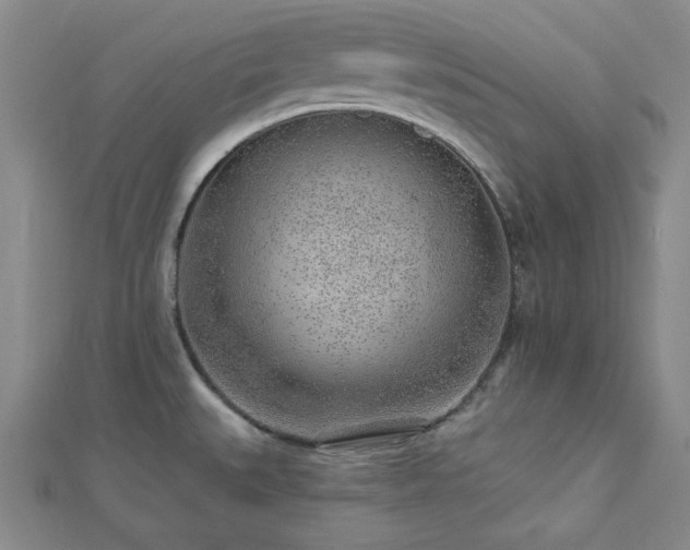 X0000113021527200908271423