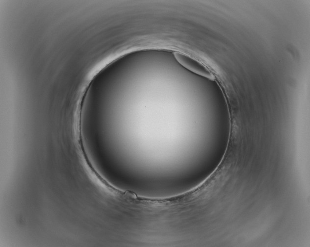X0000113021528200908271423