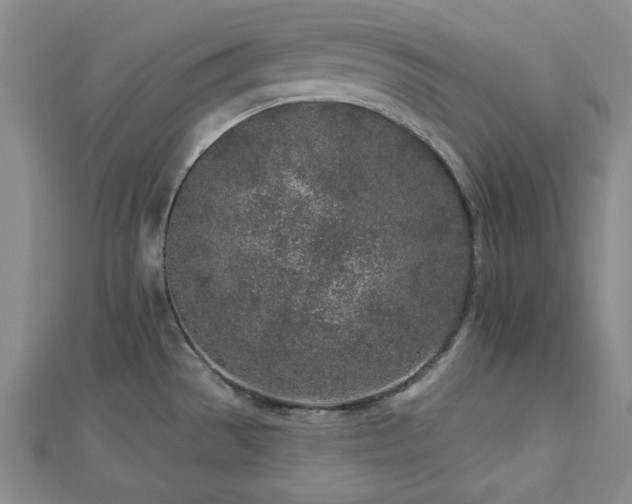 X0000113021529200908271423