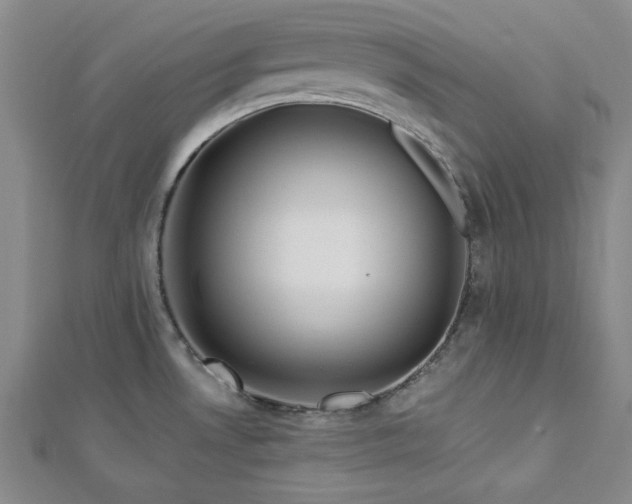 X0000113021530200908271423