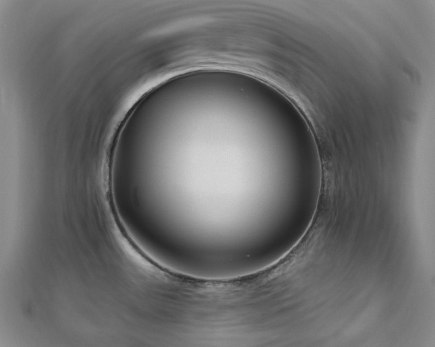 X0000113021531200908271423