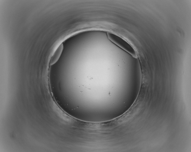 X0000113021532200908271423