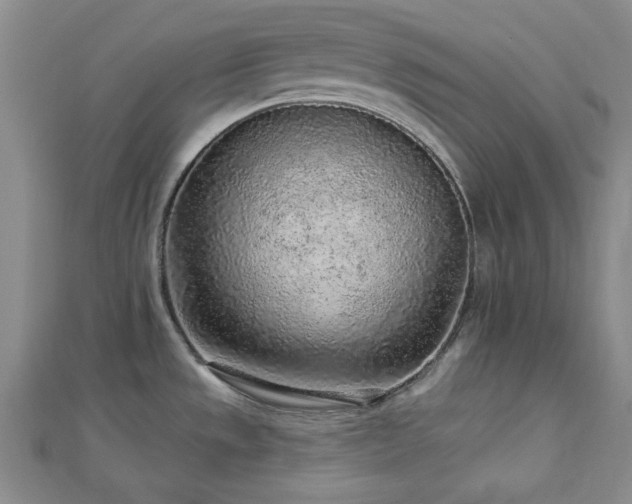 X0000113021533200908271423