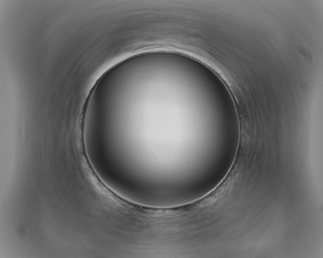 X0000113021534200908271423