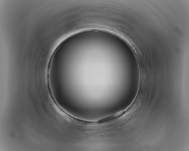 X0000113021535200908271423