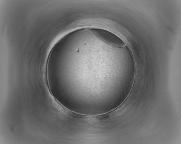 X0000113021536200908271423