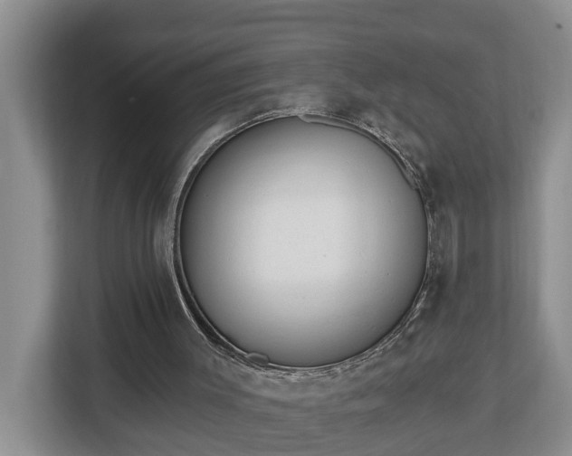 X0000113020003200909031241