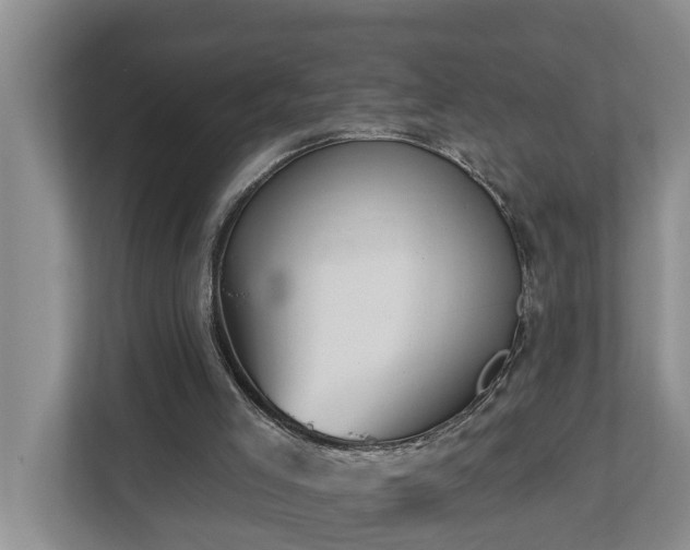 X0000113020005200909031241